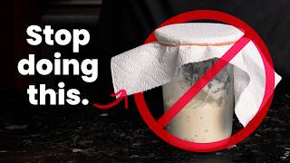 I'm Busting 10 Starter Myths (So You Can Enjoy Sourdough Again)
