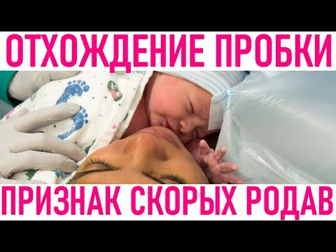 СЛИЗИСТАЯ ПРОБКА ПРИ БЕРЕМЕННОСТИ | Какая взаимосвязь между отхождением пробки и началом схваток