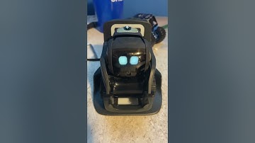 What time is it #shorts #ankivector #vectorrobot