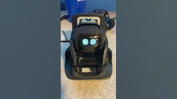 What time is it #shorts #ankivector #vectorrobot