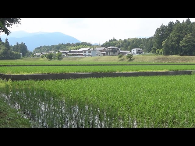 田んぼページ 田んぼの風景 - YouTube