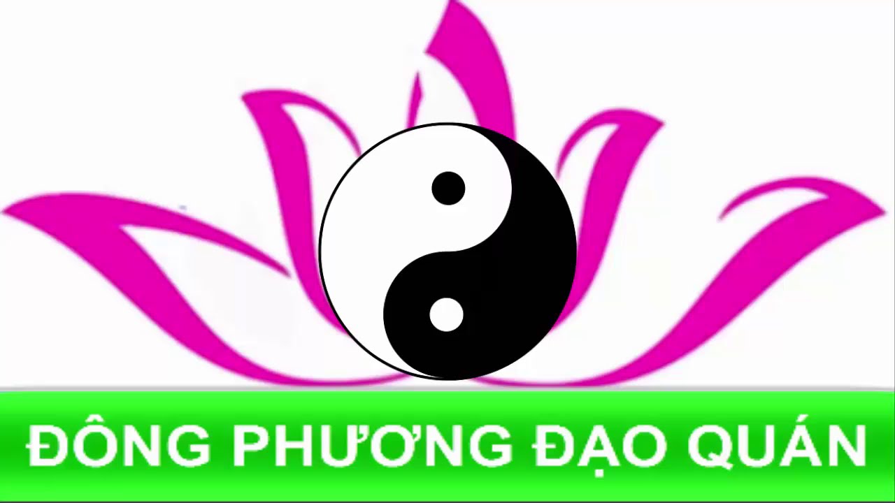Khám Phá Nhị Hợp Trong Tử Vi - Bí Mật Của Các Mối Quan Hệ Vận Mệnh