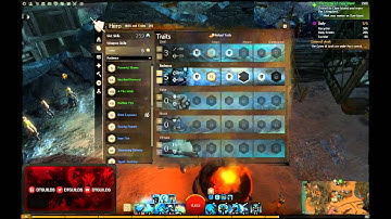 Guardian Dungeon Build Q & A