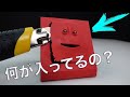 フェイスバンクの中身とは？