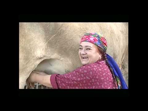 Şayly Gelin - Türkmen Kino Film | Degişme