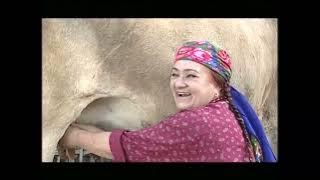 Şayly Gelin - Türkmen Kino Film | Degişme