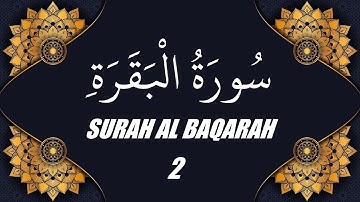 محمد الفقية - سورة البقرة (2)