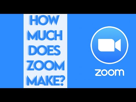 Video How Much Does Zoom Make? - youtube
