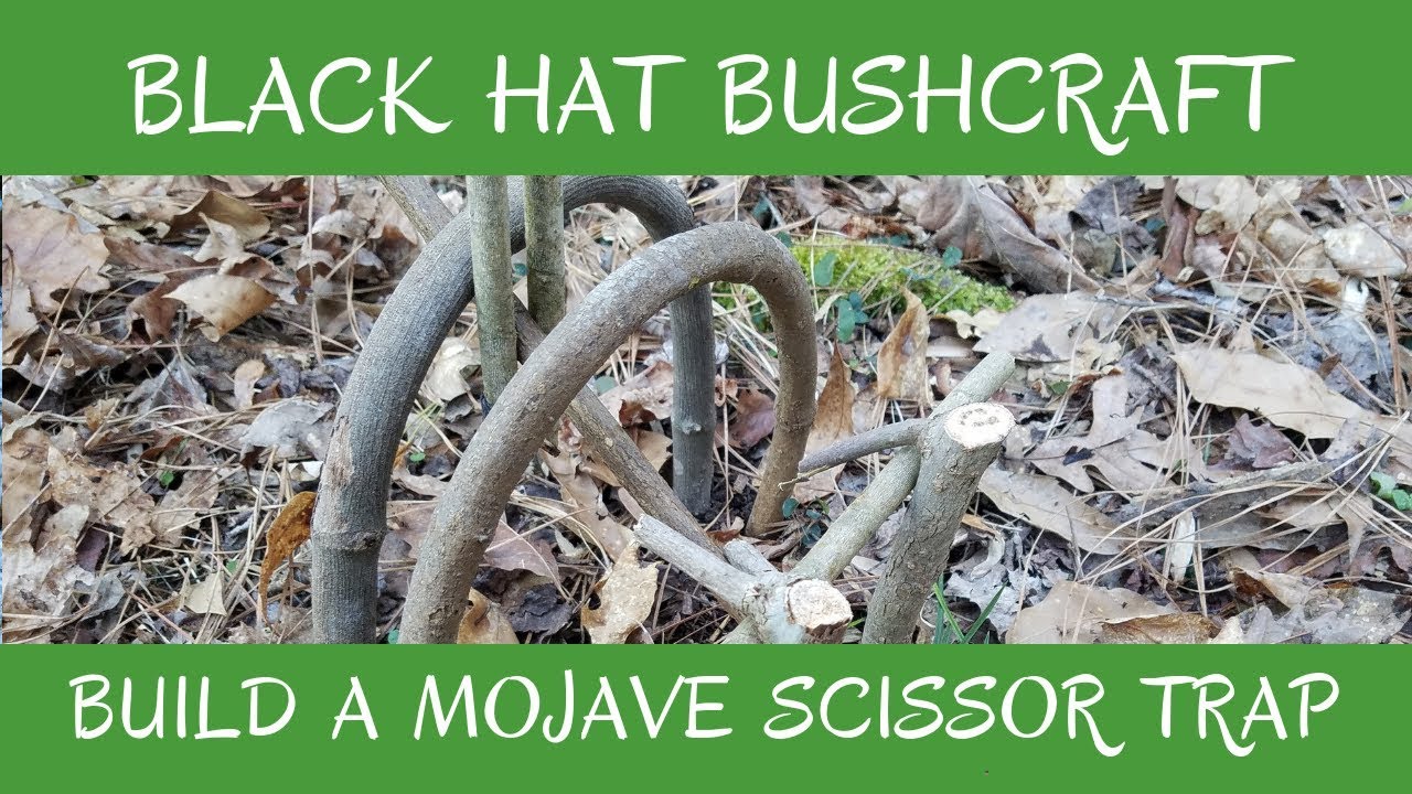 Ловушка-ножницы Мохаве: как сделать свою собственную