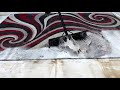 Scraping dirty water off carpets Compilation Pt. 42 || Satisfying Video