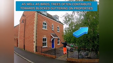 GUTTER CLEARING TIME LAPSE VIDEO