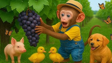 Monkey Drives a Tractor to Find the Missing Duckling 🦆🚜 | Unexpected Farm Adventure
