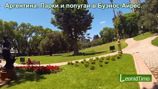 Аргентина. Парки и попугаи в Буэнос-Айресе. Аргентина. Парки и попугаи в Буэнос-Айресе.