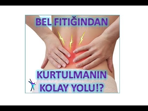 Video: Bel Problemi Olan Itlərin Qidalanma Ehtiyacları