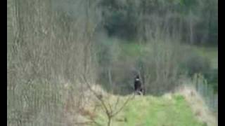 North Tipperary Foxhounds Hunt - Luska 07.