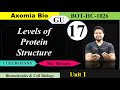 Levels of Protein structure| Biomolecules| Bsc Botany| CuetPG| 1st sem Botany| Dr. Rajib| Axomia Bio