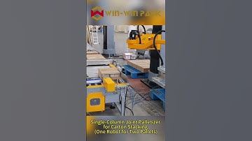 Single-column joint palletizer for carton stacking (one robot for two pallets) #palletizer #shorts