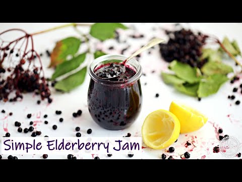 Видео: Хар Elderberry саатал эмчлэх: хэрхэн хоол хийх