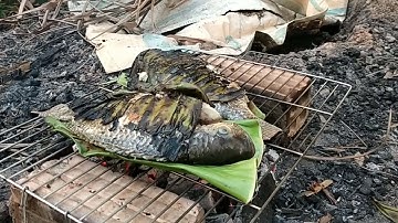 CÁ RÔ NƯỚNG LÁ CHUỐI VLog 05