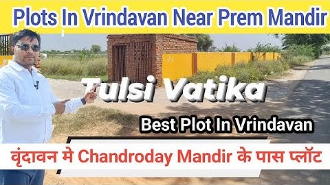 vrindavan Chandroday mandir ke pass Plot | Plots In Vrindavan near Prem mandir #vrindavan #plots