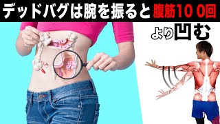 【20秒】デッドバグで手を振ると腹筋100回より凹む!