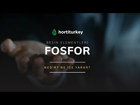 Video: Çift süperfosfat: gübre uygulaması, formülü ve fiyatı