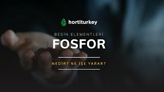 2 Dakikada Fosforlu Gübreler Hakkında Her Şeyi Öğren