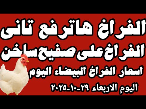 اسعار الفراخ البيضاء اليوم سعر الفراخ البيضاء اليوم الاربعاء ٢٩ ١٠ ٢٠٢٥ في المحلات في مصر