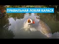 🐟 КАК НАЛОВИТЬ КАРАСЕЙ ЛЕТОМ?