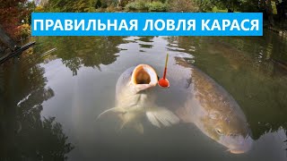 🐟 КАК НАЛОВИТЬ КАРАСЕЙ ЛЕТОМ?