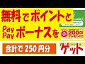 nanacoポイントとPayPayボーナスを無料でゲット！作業時間は「わずか」なので効率イイ！！