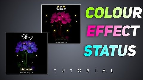 Square Size Avee Player Template | How to create trending WhatsApp Status Video | Avee player Edit