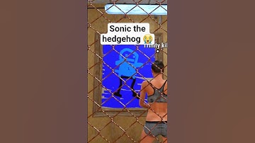 Paint Sonic or die #rust #funny #gaming