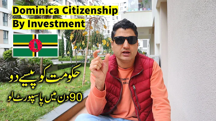 Dominica Citizenship by Investment Program (Second Passport) - DayDayNews