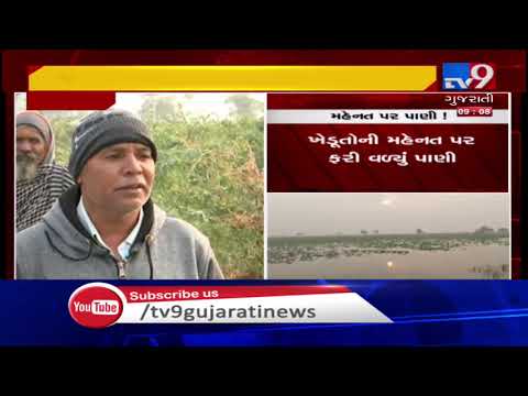 Ahmedabad: Farms in Viramgam still waterlogged after canal overflowed yesterday| TV9News