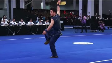 The 17th World Wushu Championships Mens Nanquan Champion: Du Hongjie (China)第十七届世界武术锦标赛南拳冠军 杜洪杰 （中国）