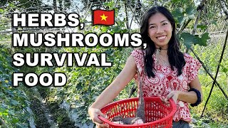 Eco Tourism Farm: Foods Vietnamese Survived on During War by Wendi Phan 2,071 views 8 months ago 26 minutes