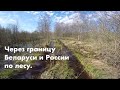 Через границу Беларуси и России по лесу.