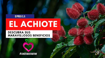 ¿Qué enfermedades cura la semilla de achiote?