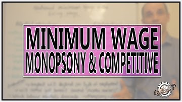 National Minimum Wage - Analysis & Evaluation