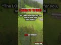 The Lord Will Fight For You