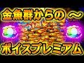 『CR大海物語4 ⑩』金魚群からの～ボイスプレミアム「どっか～ん！大海物語4！」