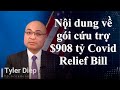 Tyler Diep: Nội dung về gói cứu trợ $908 tỷ Covid Relief Bill - 12.8.2020 - VLOG