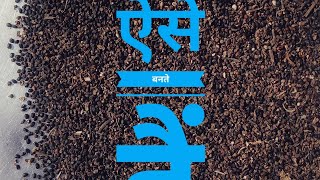 How To Make Sabja Seeds  What Are Sabja Seeds short ytshorts sajilatan