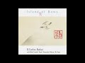 R. Carlos Nakai with Wind Travelin' Band, Shonosuke Ohkura, Oki Kano: Island Of Bows [Full Album]