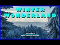 Orchestra soothing music  winter wonderland by patricia  govind  nmrk music relaxation