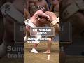 The Making of a Tough Sumo Wrestler