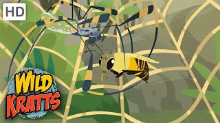 Wild Kratts Creatures Huntingspiders