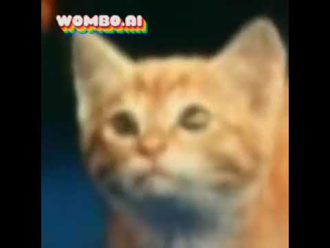 Singing WOMBO My Mimsie The Cat My Version Test