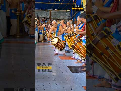 കൊട്ടിക്കയറി 🔥😍 | Peruvanam Kuttan Marar 👌| Chendamelam | #shorts #chenda #chendamelam #melam #yt